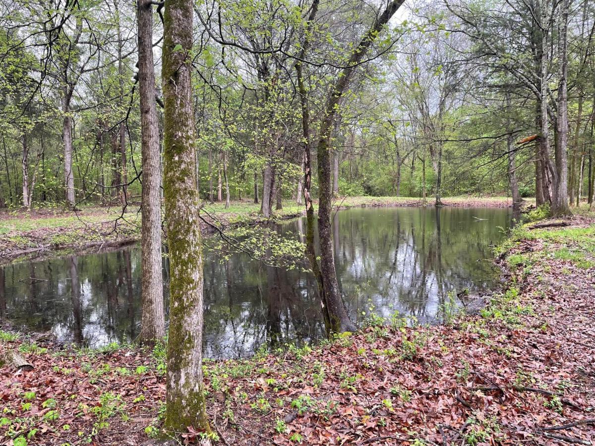 Charming Tiny Home! Close To Oxford, Sardis Lake, Safari Animal Zoo Eksteriør bilde